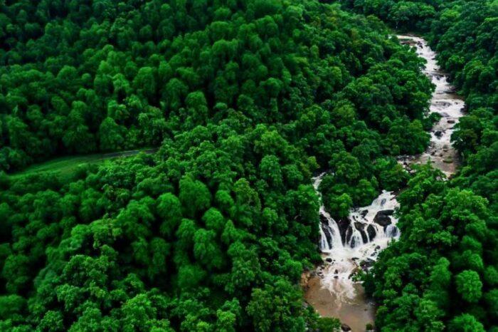 Best places in Maredumili